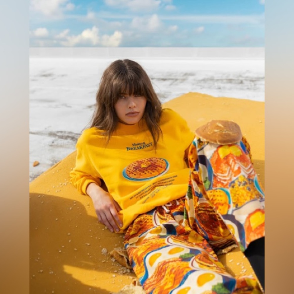 FLAN Labs the waffles organic cotton crewneck sweatshirt